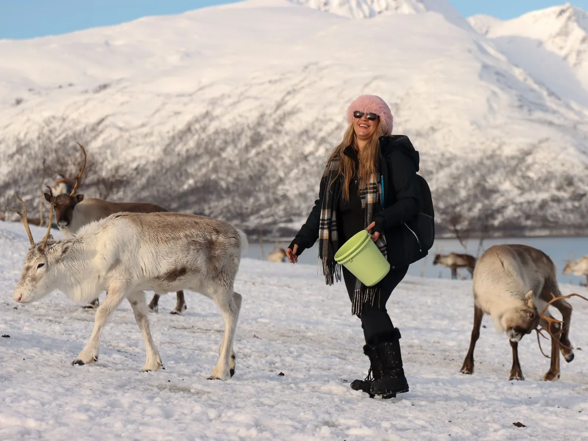 Un visitatore dà da mangiare a una renna a mano in una valle innevata vicino a Tromsø, con le montagne del fjord sullo sfondo